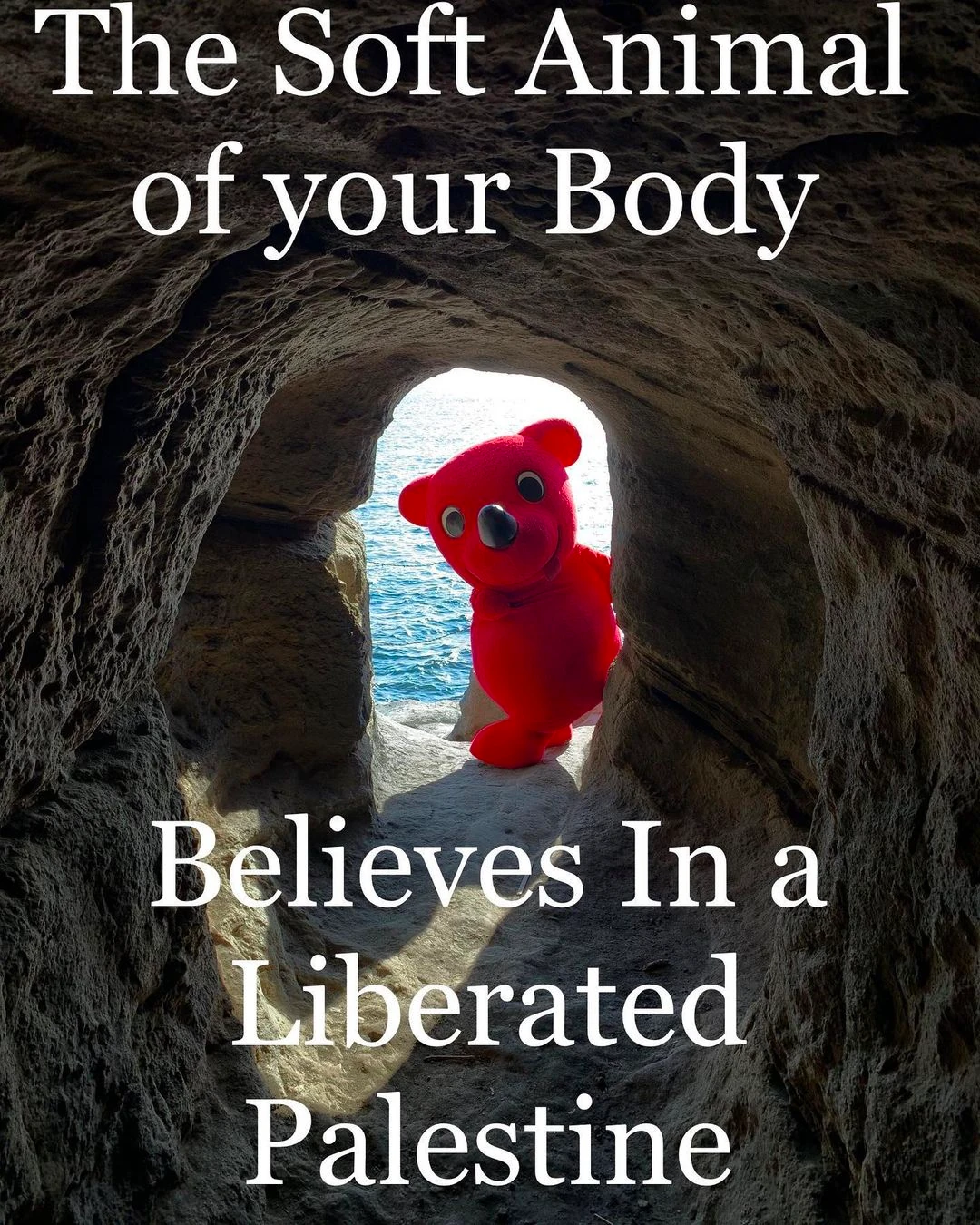 the soft animal of your body believes in a liberated palestine