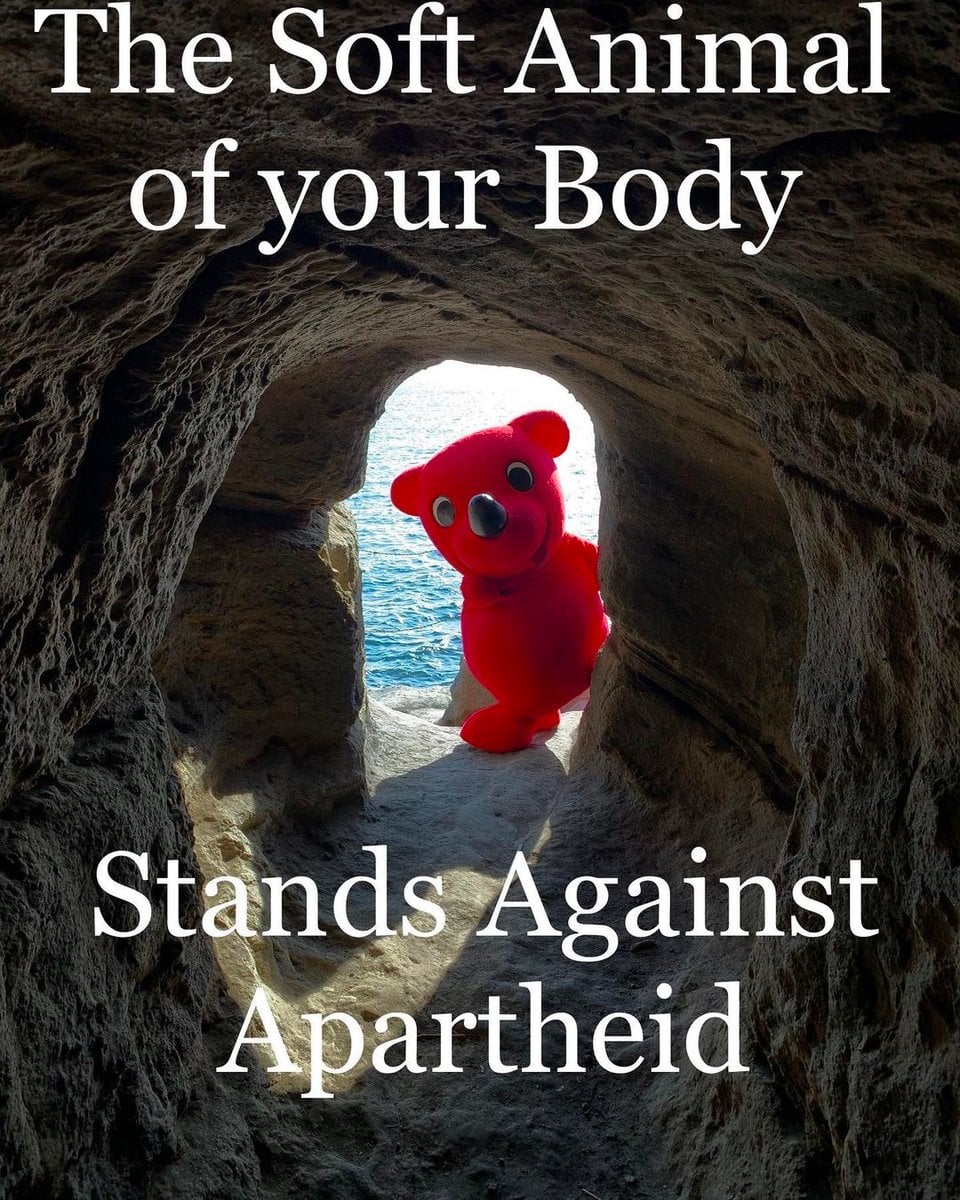 the soft animal of your body stands against apartheid