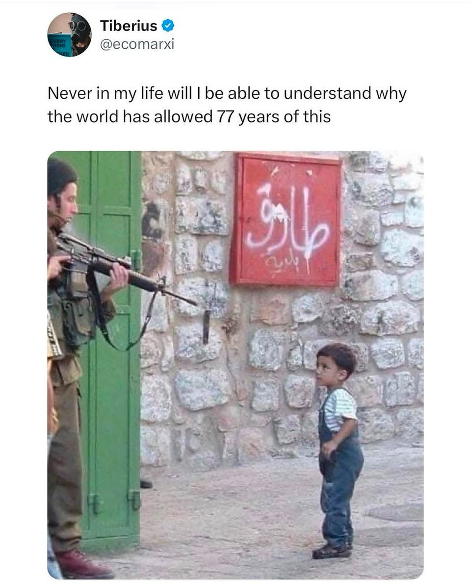 Never in my life will I be able to understand why.jpg